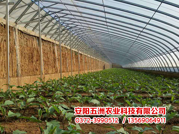 蔬菜大棚 蔬菜大棚